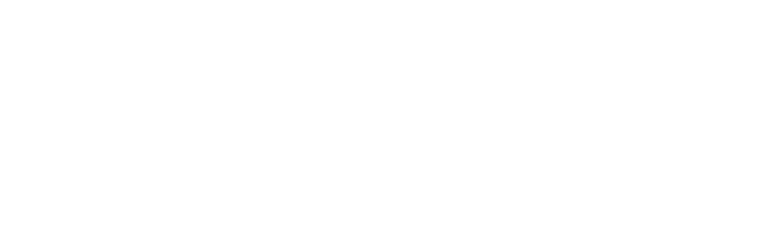 Voyage Control white